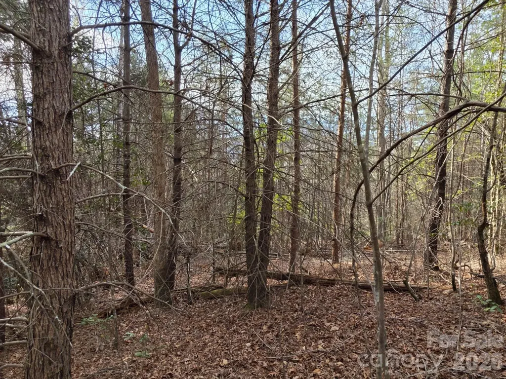 Lot 10 Kerlee Lane Old Fort NC 28762