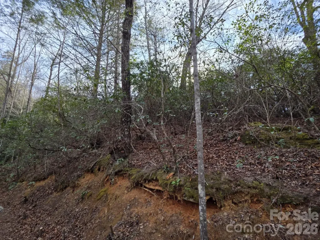 Lot 10 Kerlee Lane Old Fort NC 28762
