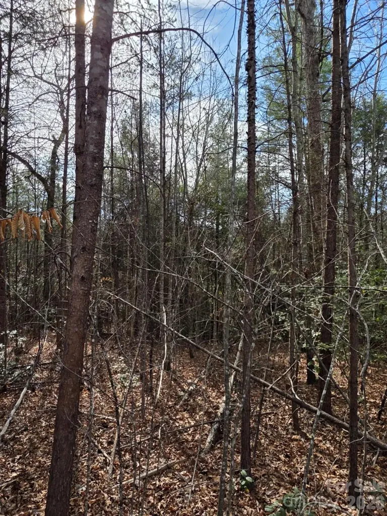 Lot 10 Kerlee Lane Old Fort NC 28762
