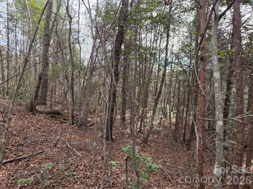 Lot 10 Kerlee Lane Old Fort NC 28762