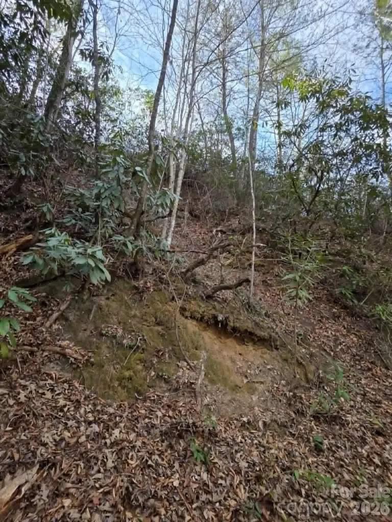 Lot 10 Kerlee Lane Old Fort NC 28762