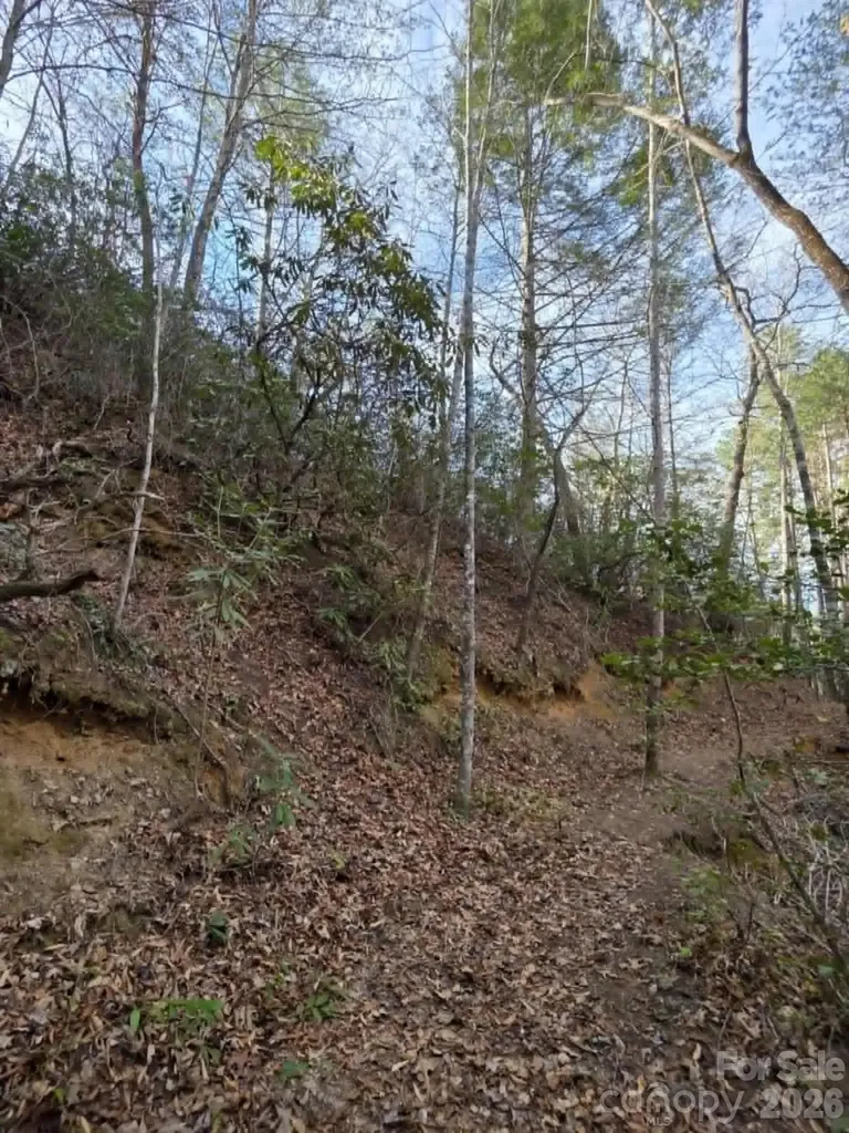 Lot 10 Kerlee Lane Old Fort NC 28762