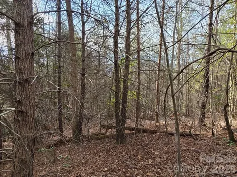 Lot 10 Kerlee Lane Old Fort NC 28762