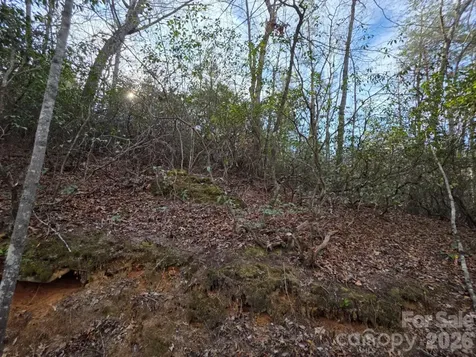 Lot 10 Kerlee Lane Old Fort NC 28762
