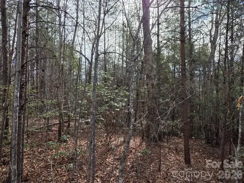 Lot 10 Kerlee Lane Old Fort NC 28762