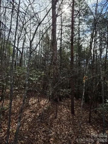 Lot 10 Kerlee Lane Old Fort NC 28762