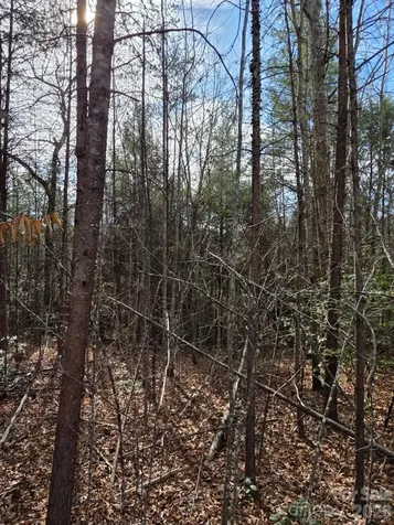 Lot 10 Kerlee Lane Old Fort NC 28762