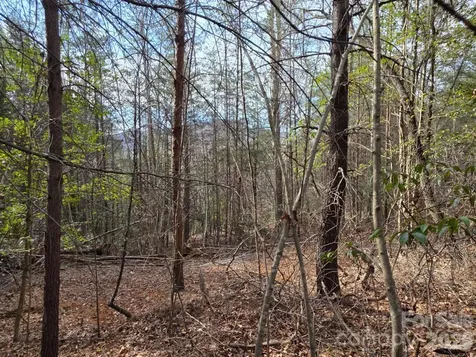 Lot 10 Kerlee Lane Old Fort NC 28762