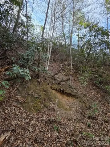 Lot 10 Kerlee Lane Old Fort NC 28762