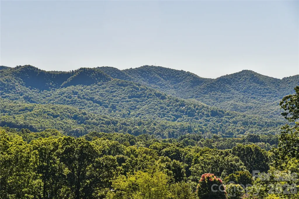 3 Leeds Lane Black Mountain NC 28711