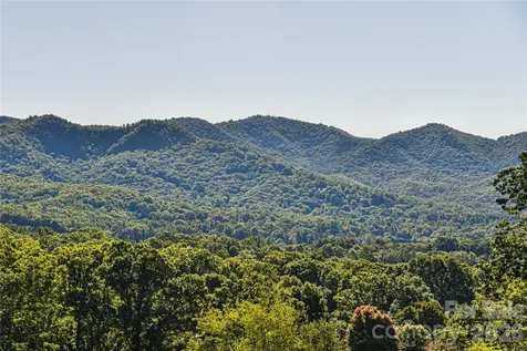 3 Leeds Lane Black Mountain NC 28711