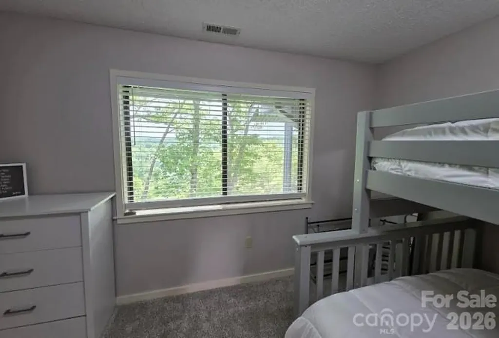 283 Tinequa Drive Brevard NC 28712