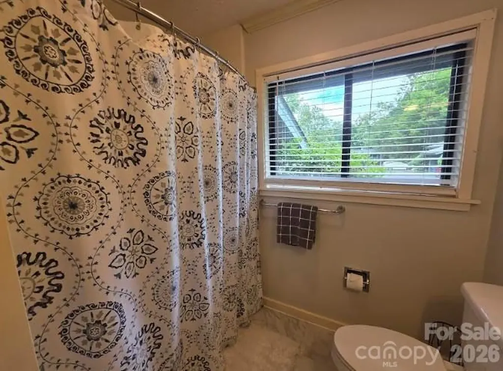 283 Tinequa Drive Brevard NC 28712