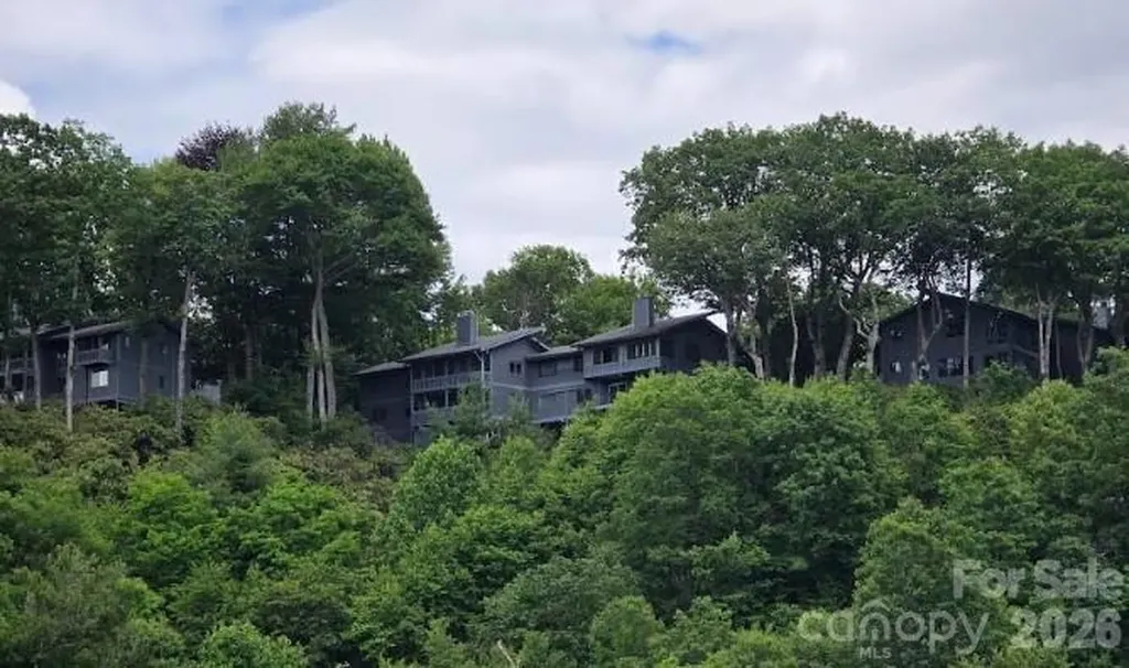 283 Tinequa Drive Brevard NC 28712
