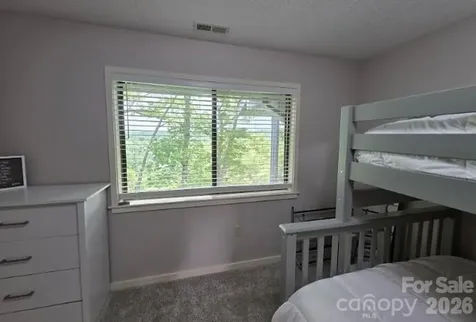 283 Tinequa Drive Brevard NC 28712