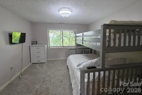 283 Tinequa Drive Brevard NC 28712