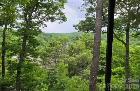 283 Tinequa Drive Brevard NC 28712