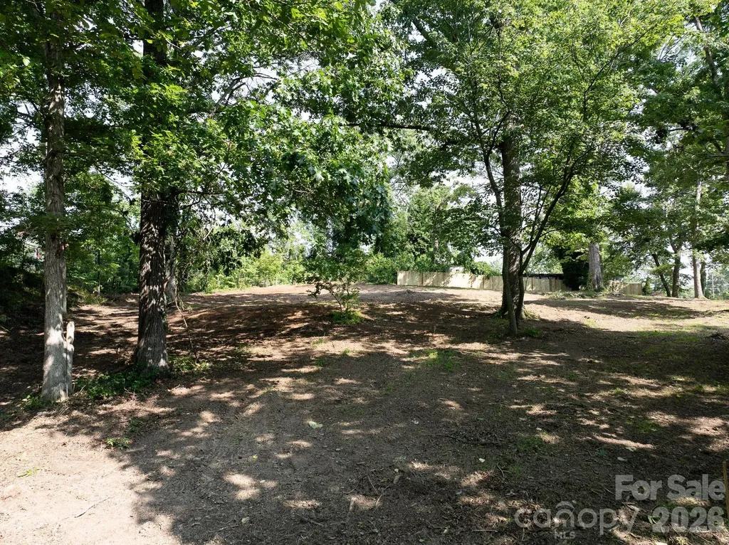 33 Reese Street Asheville NC 28804