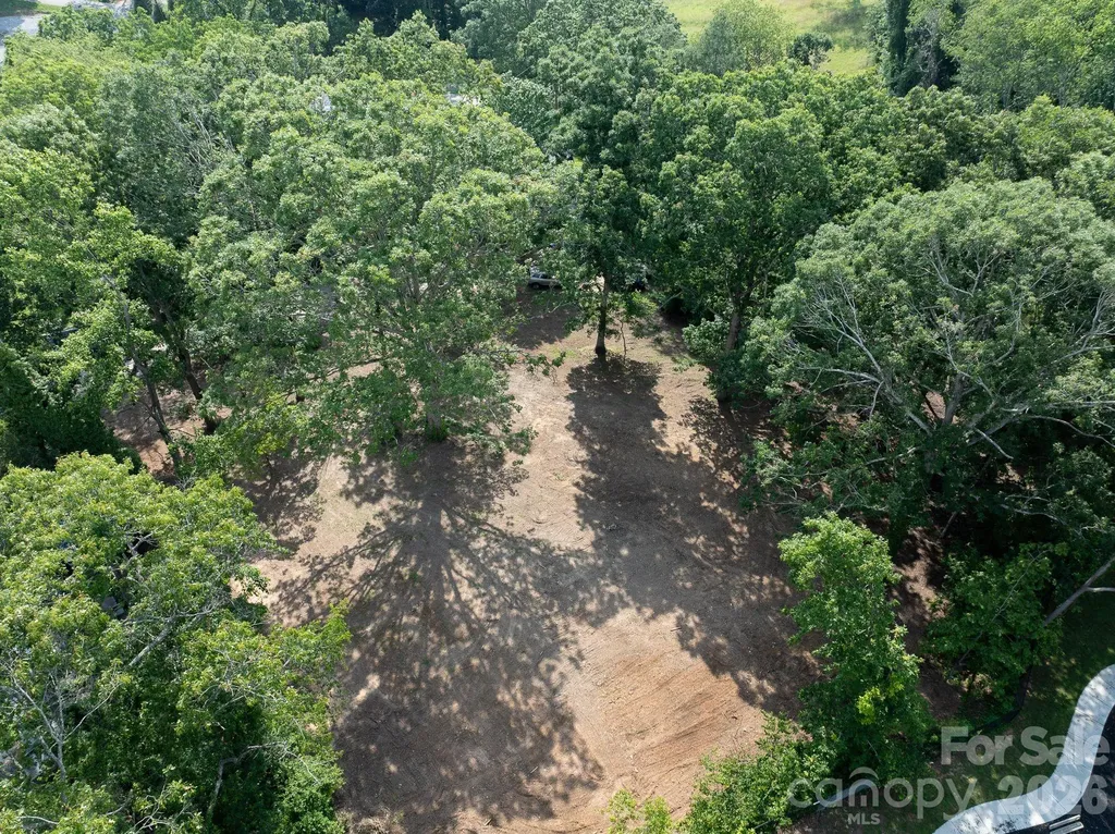 33 Reese Street Asheville NC 28804