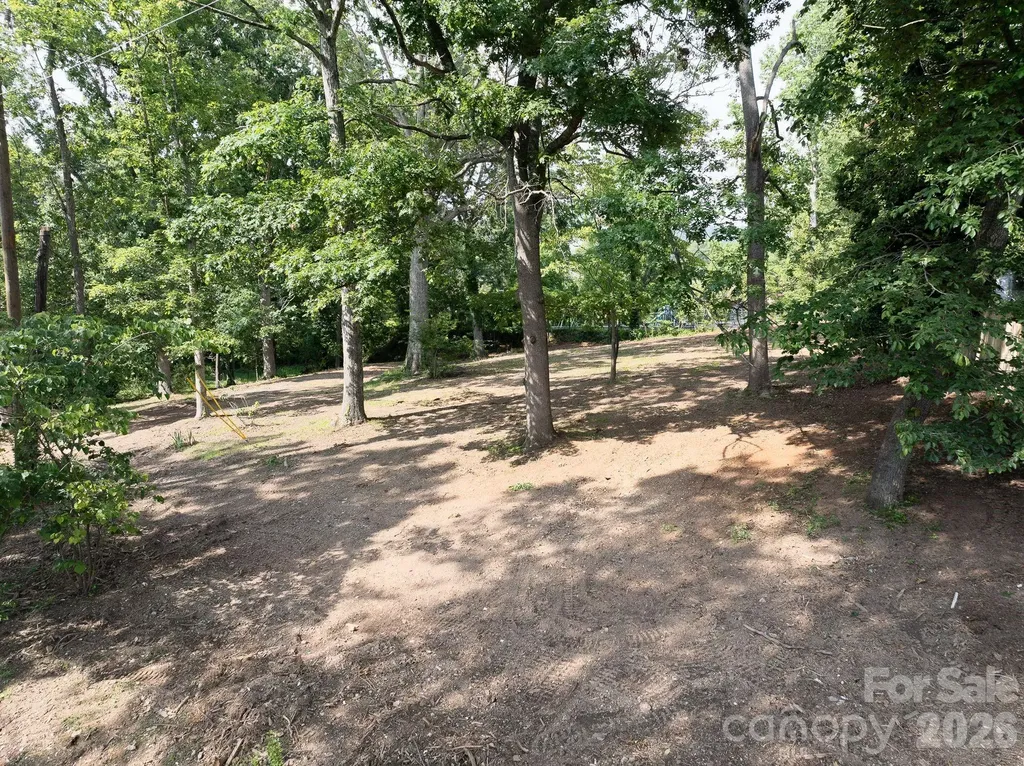 33 Reese Street Asheville NC 28804