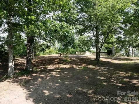 33 Reese Street Asheville NC 28804