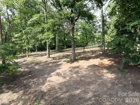 33 Reese Street Asheville NC 28804