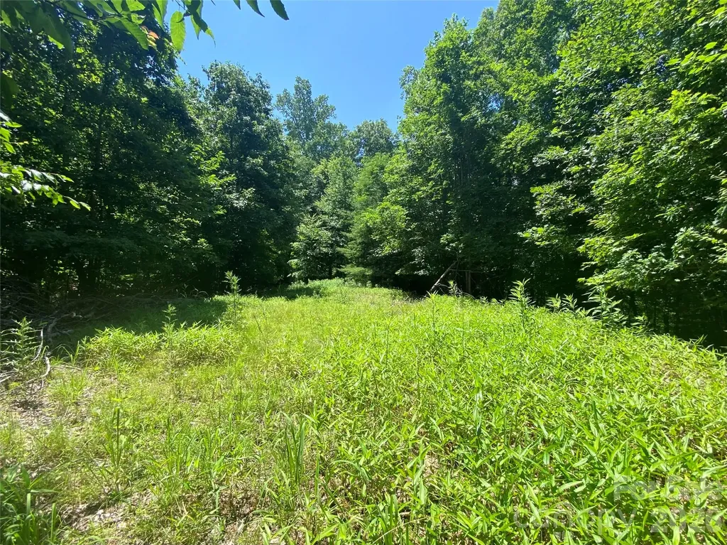 00 Scenic View Drive Green Mountain NC 28740