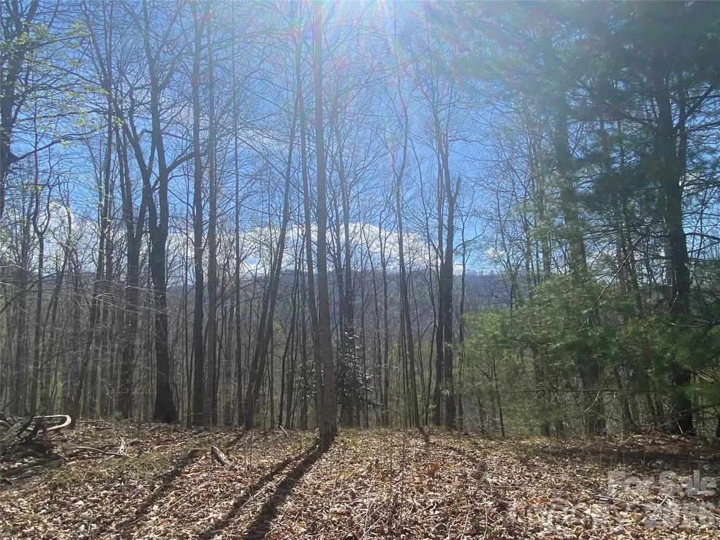 00 Scenic View Drive Green Mountain NC 28740