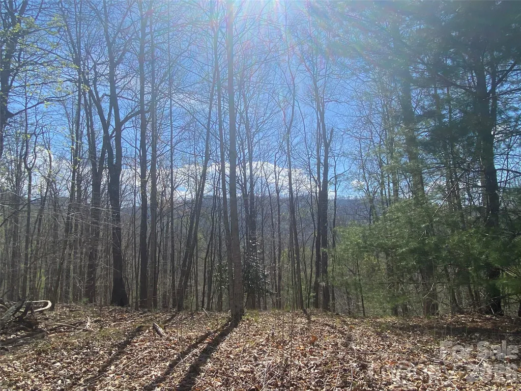 00 Scenic View Drive Green Mountain NC 28740