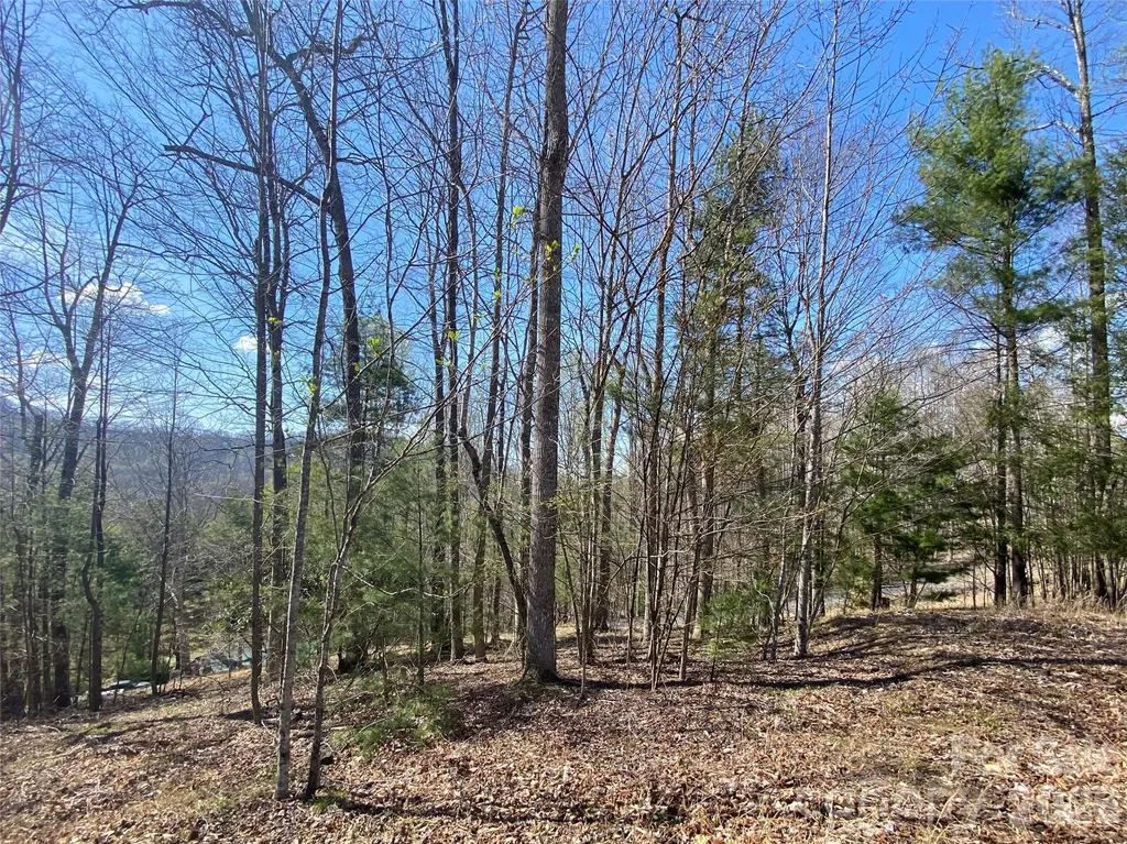 00 Scenic View Drive Green Mountain NC 28740