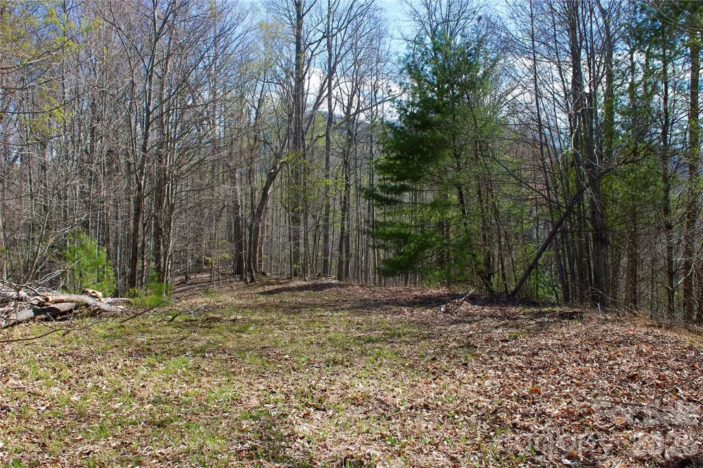 00 Scenic View Drive Green Mountain NC 28740