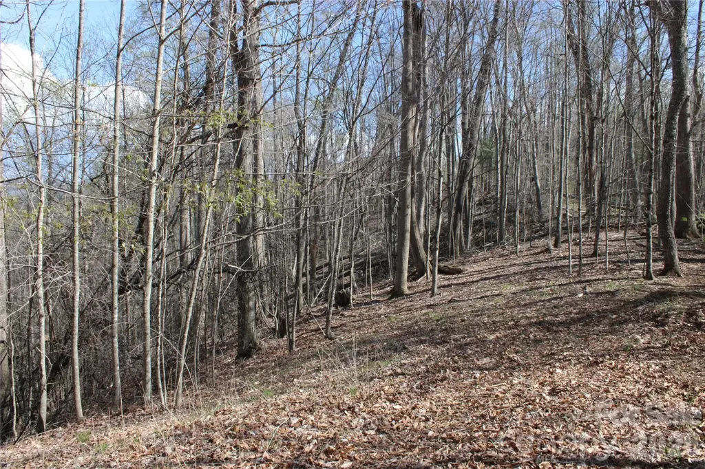 00 Scenic View Drive Green Mountain NC 28740