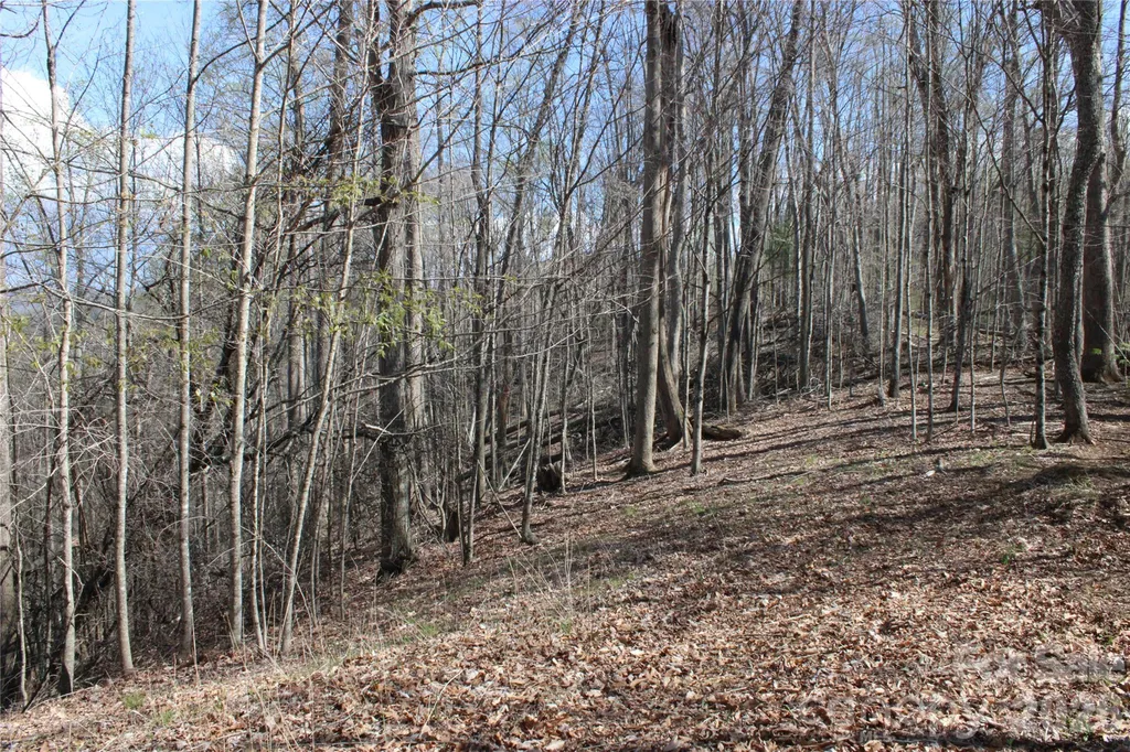 00 Scenic View Drive Green Mountain NC 28740