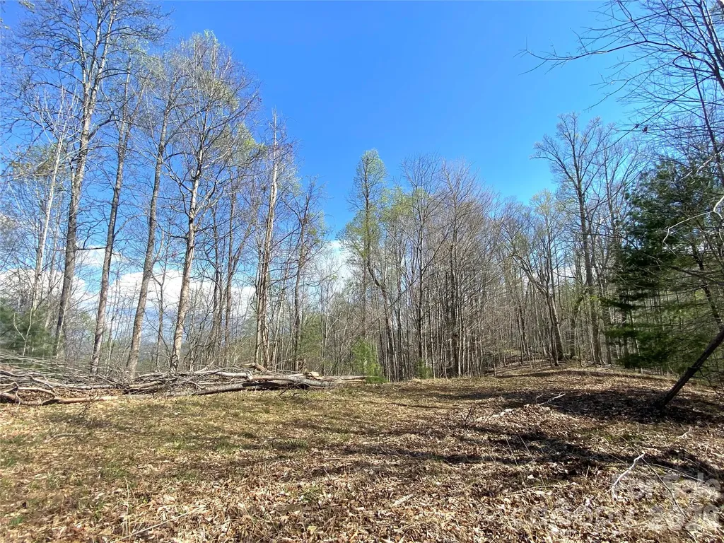 00 Scenic View Drive Green Mountain NC 28740