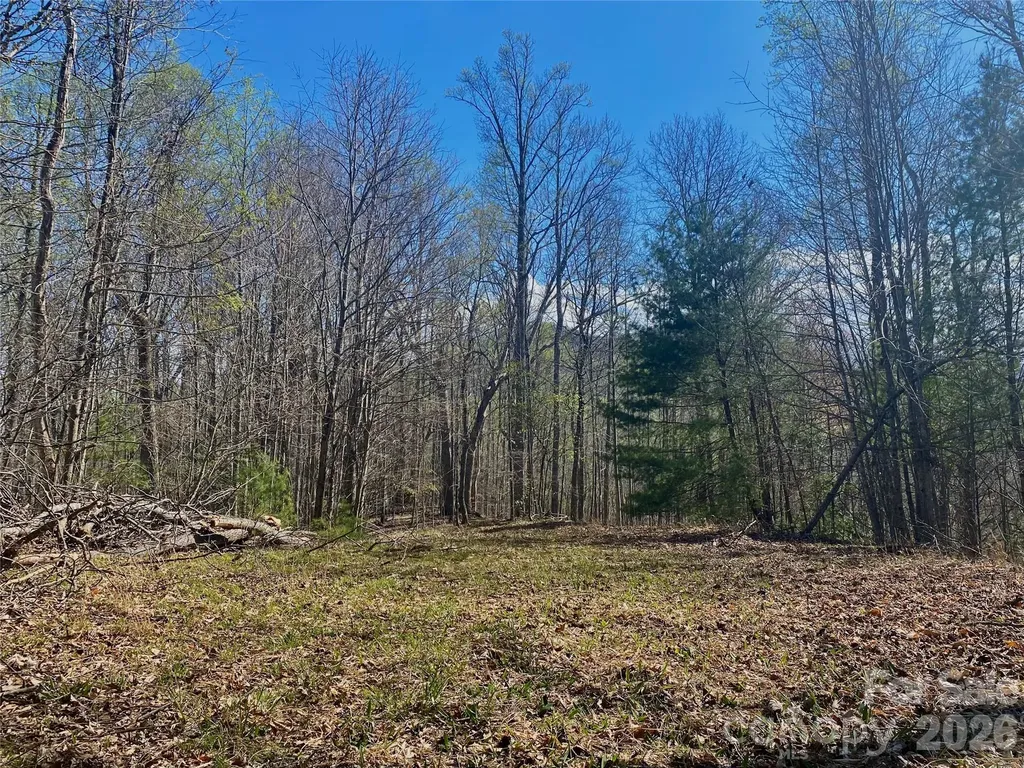 00 Scenic View Drive Green Mountain NC 28740