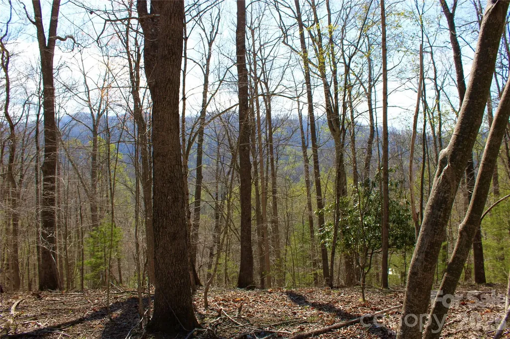 00 Scenic View Drive Green Mountain NC 28740