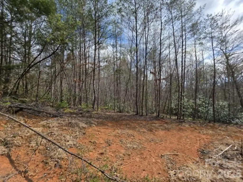 Lot 7 Kerlee Lane Old Fort NC 28762