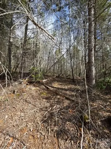 Lot 7 Kerlee Lane Old Fort NC 28762
