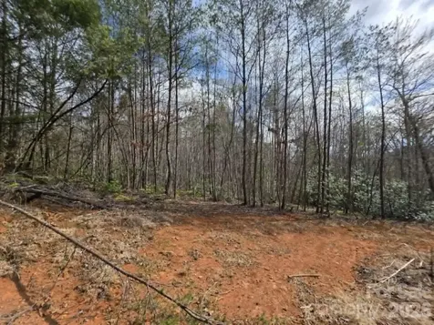 Lot 7 Kerlee Lane Old Fort NC 28762