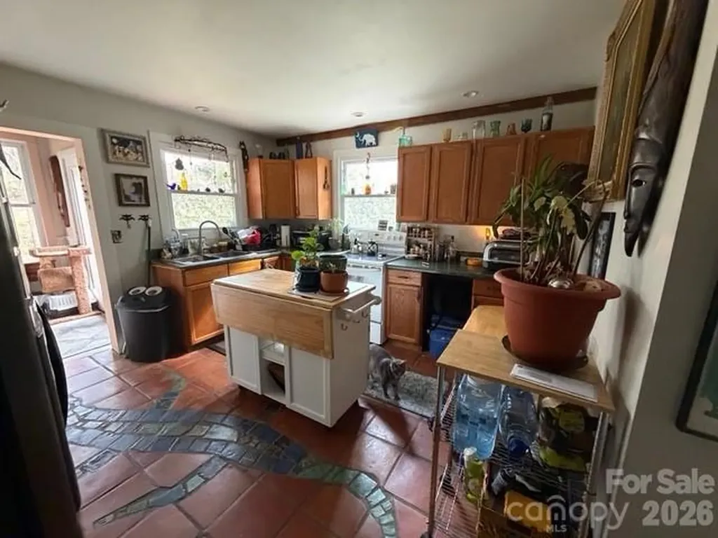 46 Mount Clare Avenue Asheville NC 28801