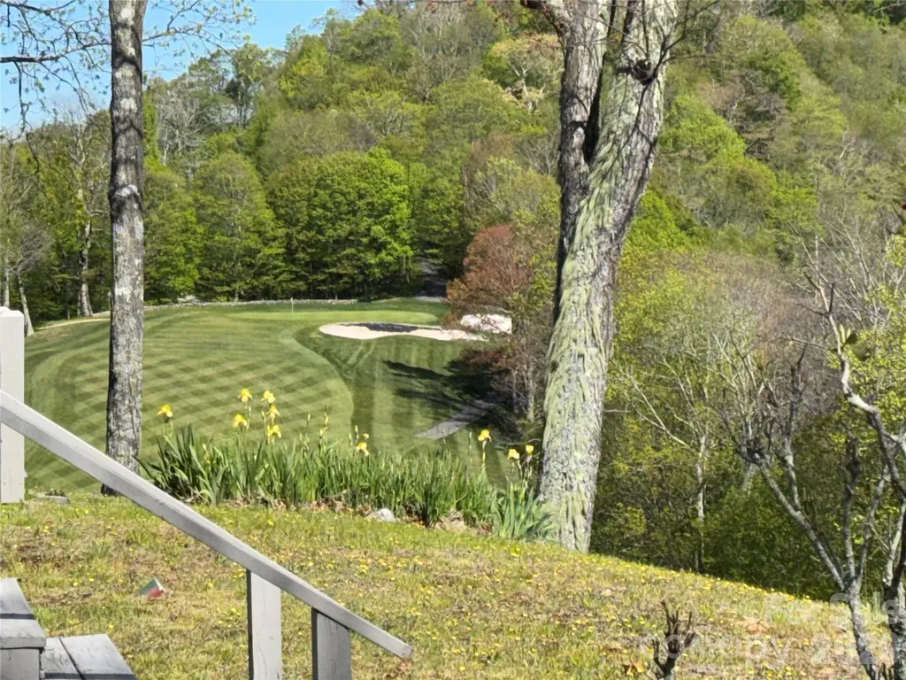 302 Eagles Nest Court S Mars Hill NC 28754