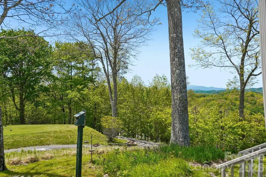 302 Eagles Nest Court S Mars Hill NC 28754