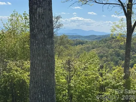 302 Eagles Nest Court S Mars Hill NC 28754