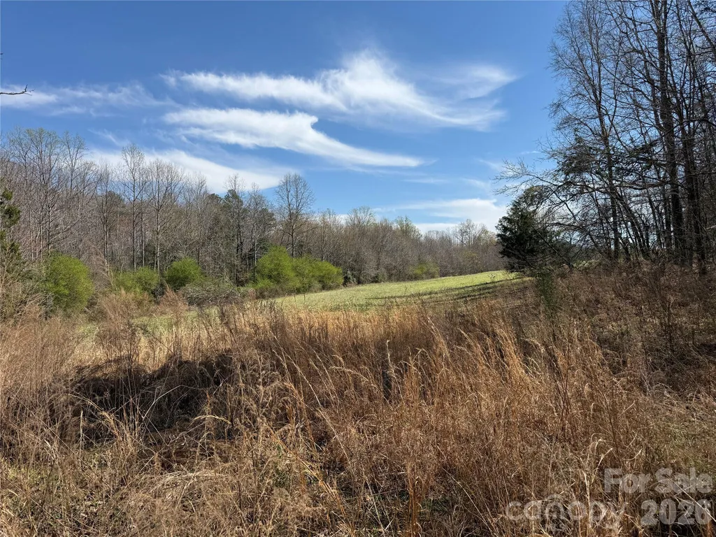 0 Ridge Creek Lane Lawndale NC 28168