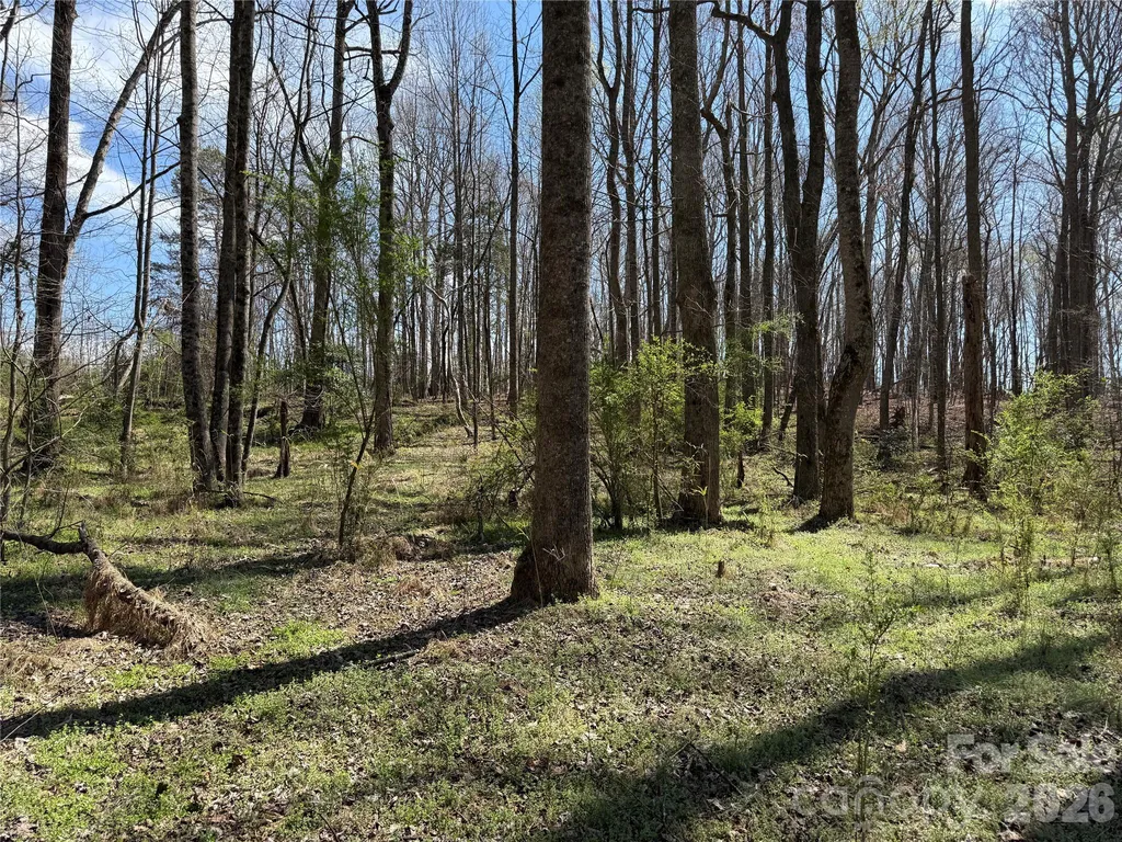 0 Ridge Creek Lane Lawndale NC 28168