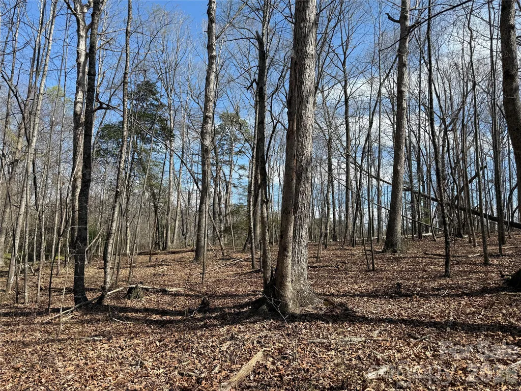 0 Ridge Creek Lane Lawndale NC 28168