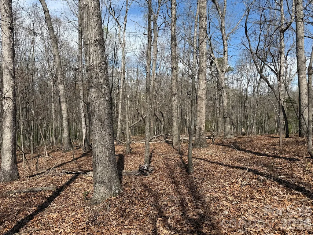 0 Ridge Creek Lane Lawndale NC 28168