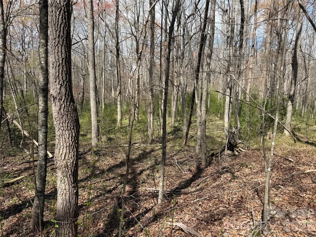 0 Ridge Creek Lane Lawndale NC 28168