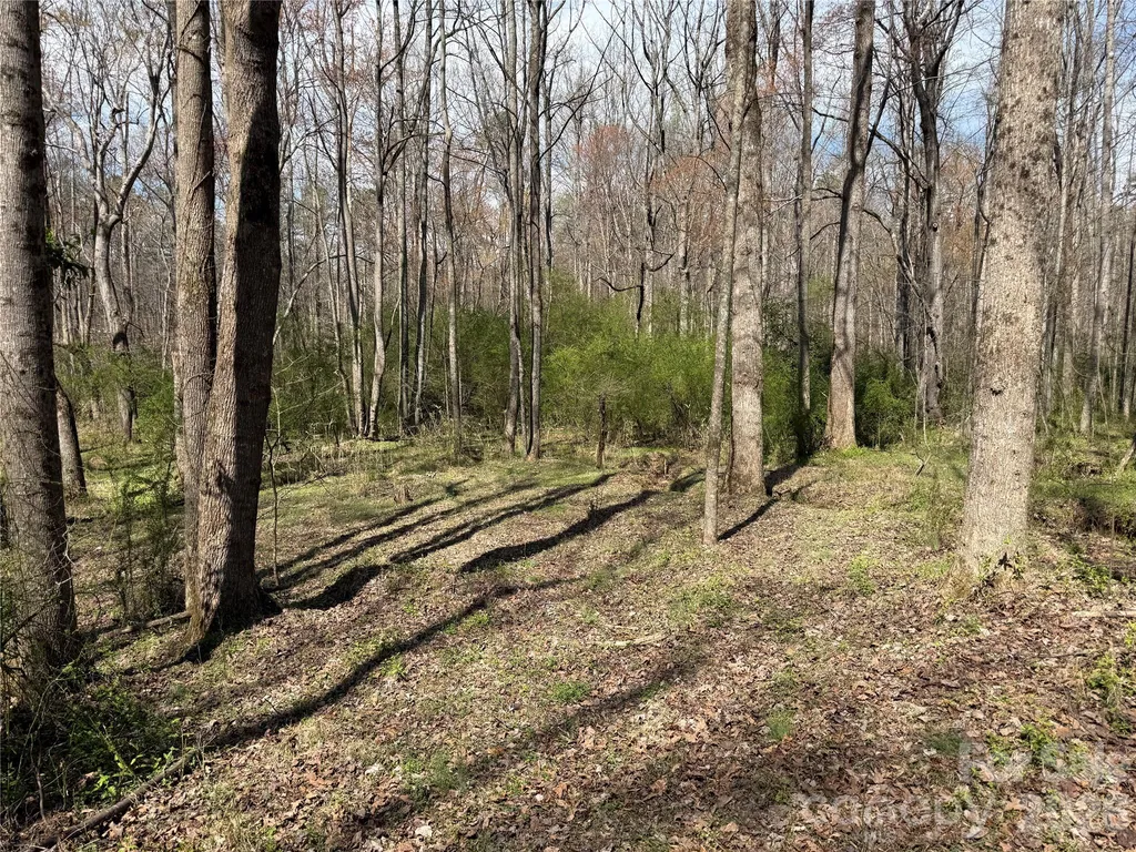 0 Ridge Creek Lane Lawndale NC 28168