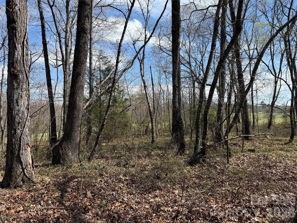 0 Ridge Creek Lane Lawndale NC 28168
